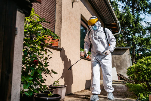 Best Affordable Pest Control Services  in Pierceton, IN