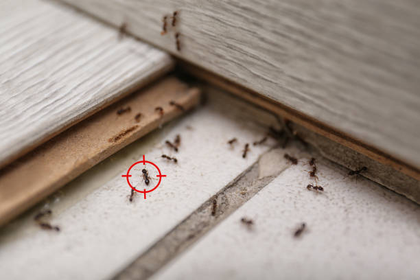 Best Wildlife Control Services  in Pierceton, IN