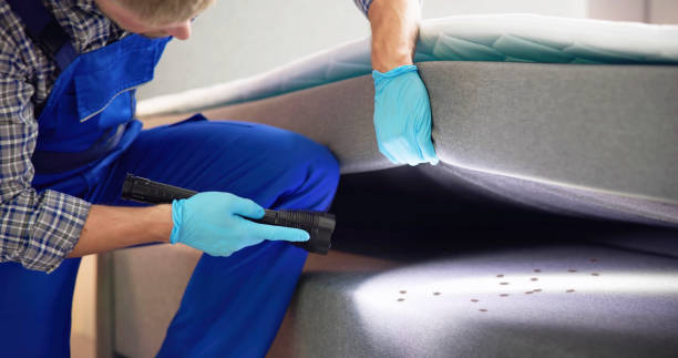 Best Emergency Pest Control  in Pierceton, IN